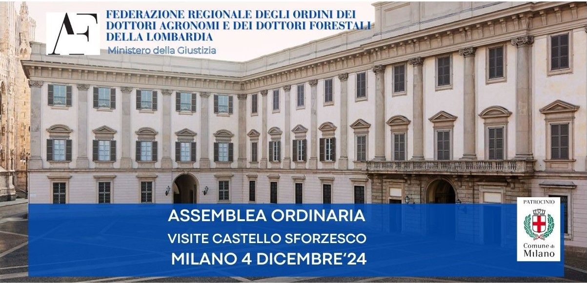 Copertina della pagina CONVOCAZIONE ASSEMBLEA ORDINARIA – VISITA GUIDATA ARAZZI DEL BRAMANTINO E CASTELLO SFORZESCO – MILANO 4/12/24