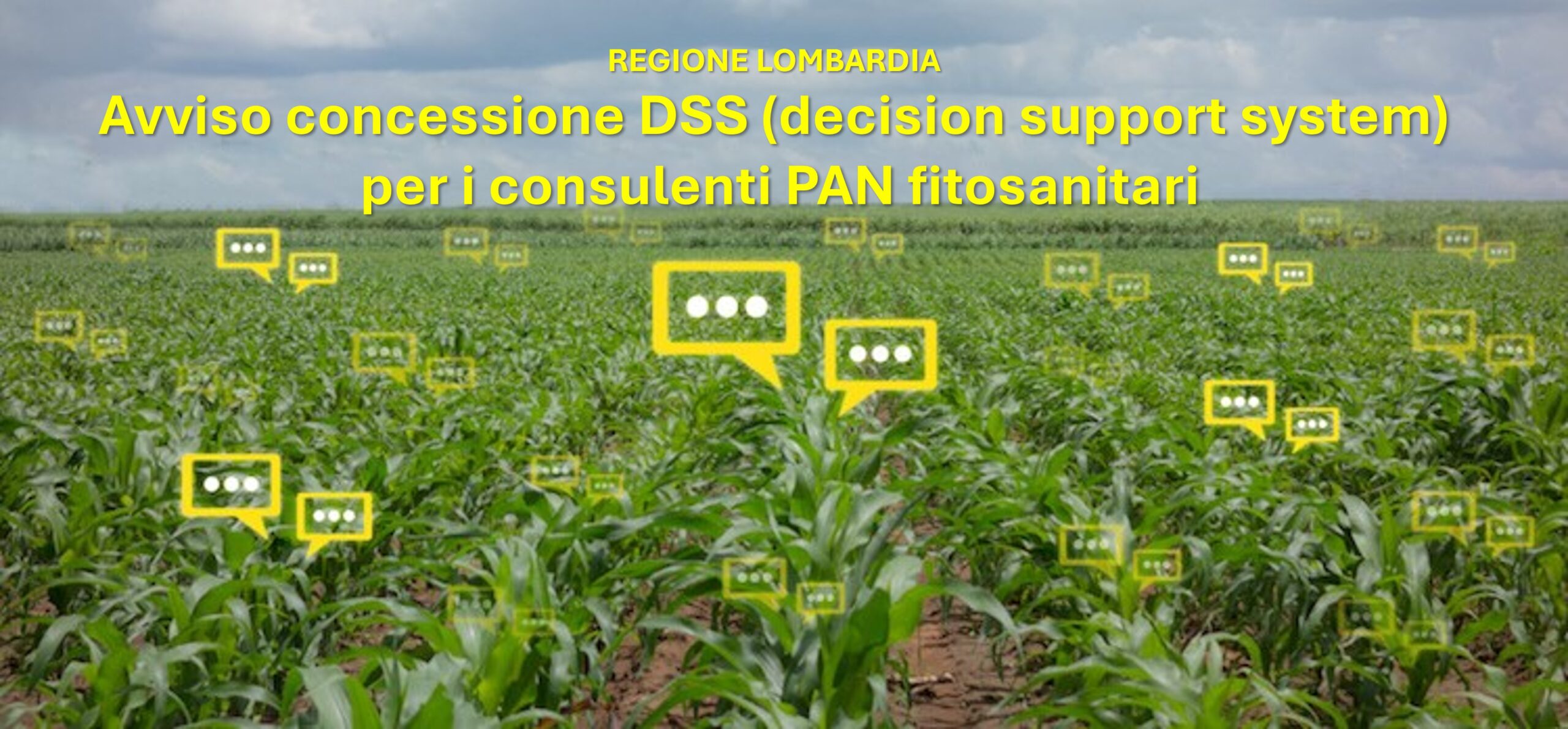 Copertina della pagina AVVISO PUBBLICO CONCESSIONE GRATUITA SISTEMA DI SUPPORTO ALLE DECISIONI (DSS) A FAVORE DI CONSULENTI PAN AGROFARMACI